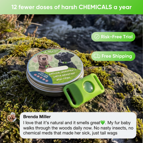 12 Months Flea & Tick Free Pendant