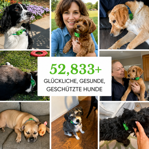12 Monate Floh- & Zeckenschutz Anhänger
