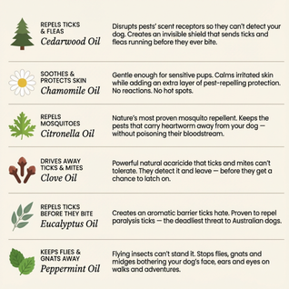 Petscure+ - 12 Months of Natural Flea Tick Protection For Dogs