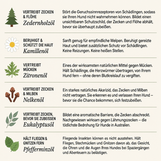 12 Monate Floh- & Zeckenschutz Anhänger