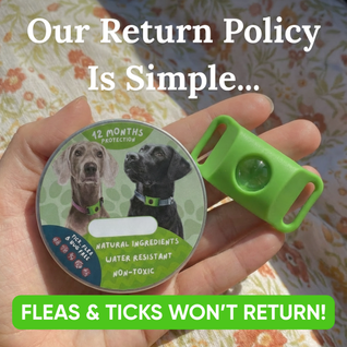 Petscure+ - 12 Months of Natural Flea Tick Protection For Dogs