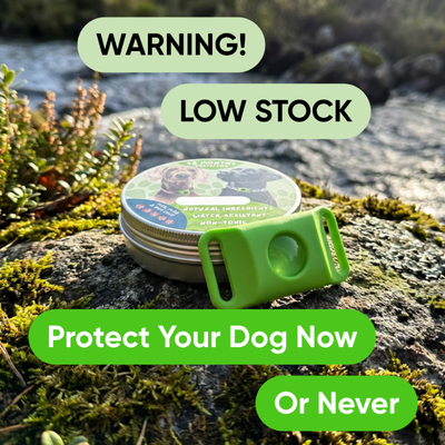 12 Months Flea & Tick Free Pendant
