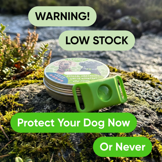 Petscure+ - 12 Months of Natural Flea Tick Protection For Dogs