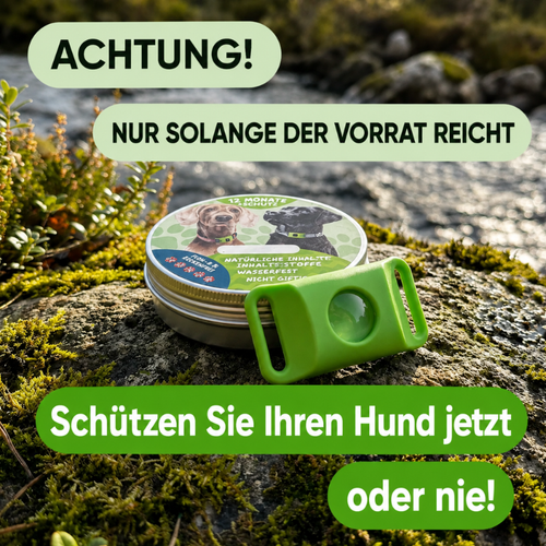 12 Monate Floh- & Zeckenschutz Anhänger